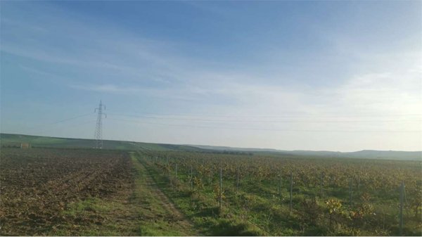 locale di sgombero in vendita a Trapani