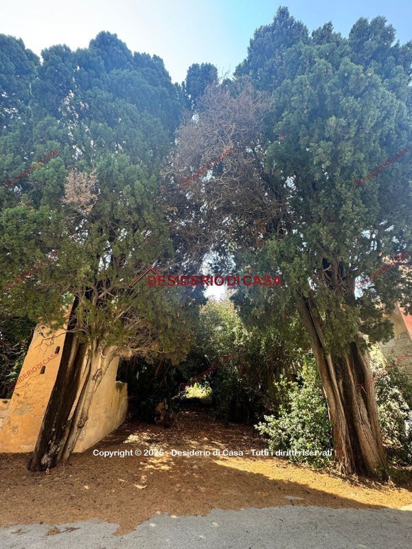 casa indipendente in vendita a Trapani