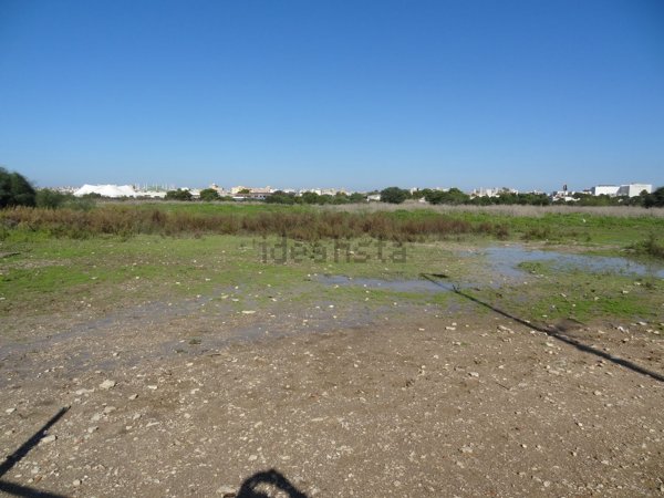 terreno agricolo in vendita a Trapani