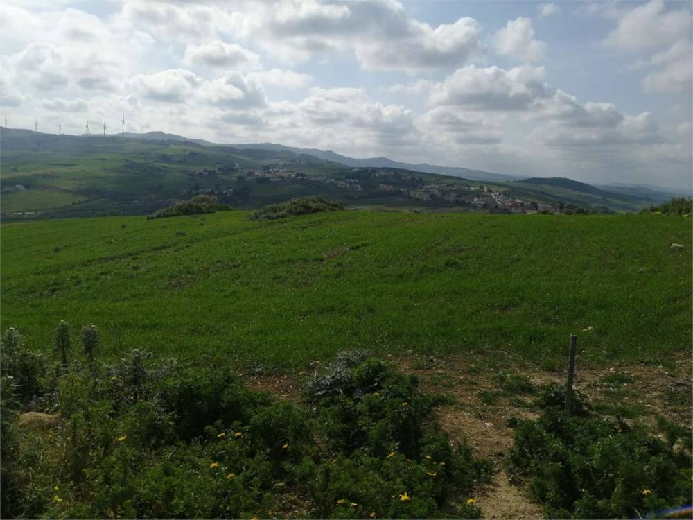 terreno agricolo in vendita a Valderice