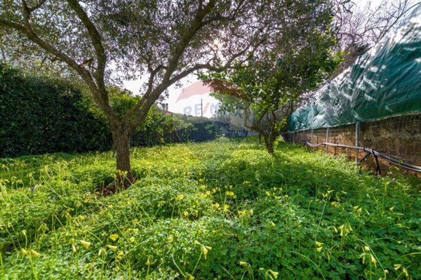 terreno agricolo in vendita a Valderice