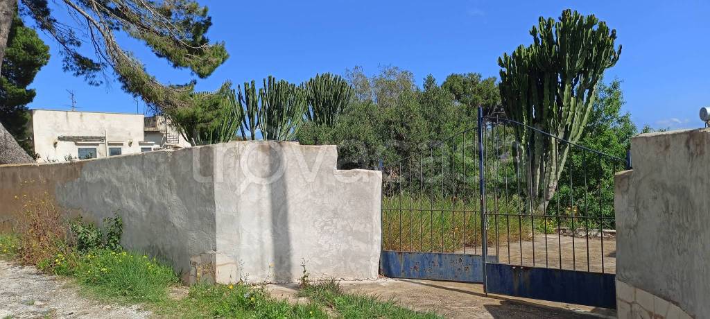 immagine annuncio 0 di 11