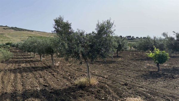 terreno agricolo in vendita a Valderice in zona Chiesanuova