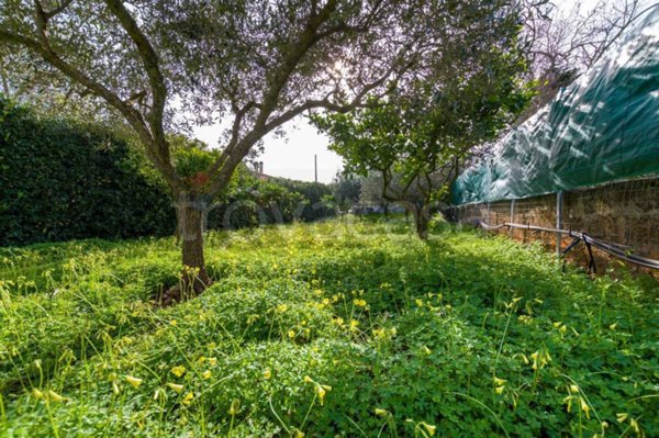 casa indipendente in vendita a Valderice