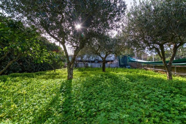 casa indipendente in vendita a Valderice