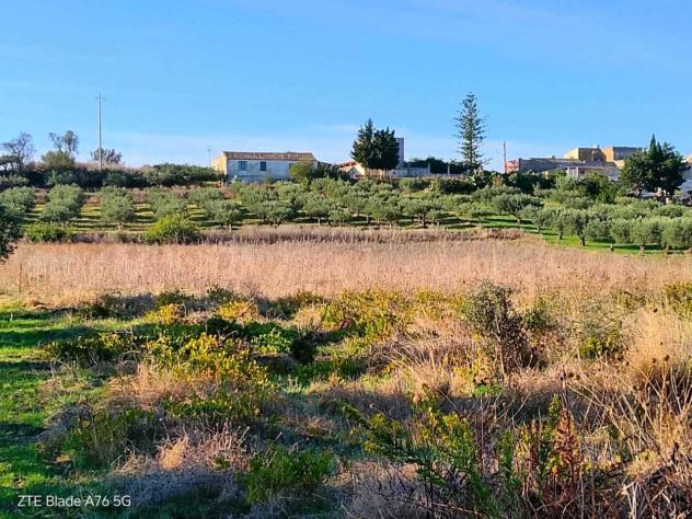 terreno agricolo in vendita a Valderice
