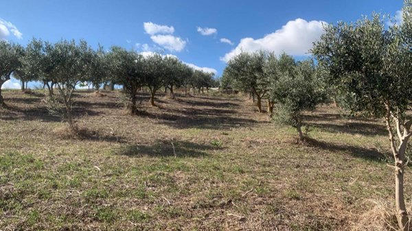 casa indipendente in vendita a Valderice in zona Crocevie