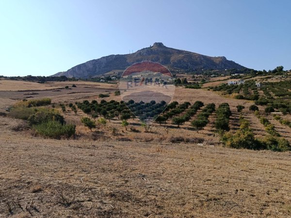 terreno agricolo in vendita a Valderice
