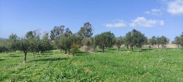 appartamento in vendita a Valderice