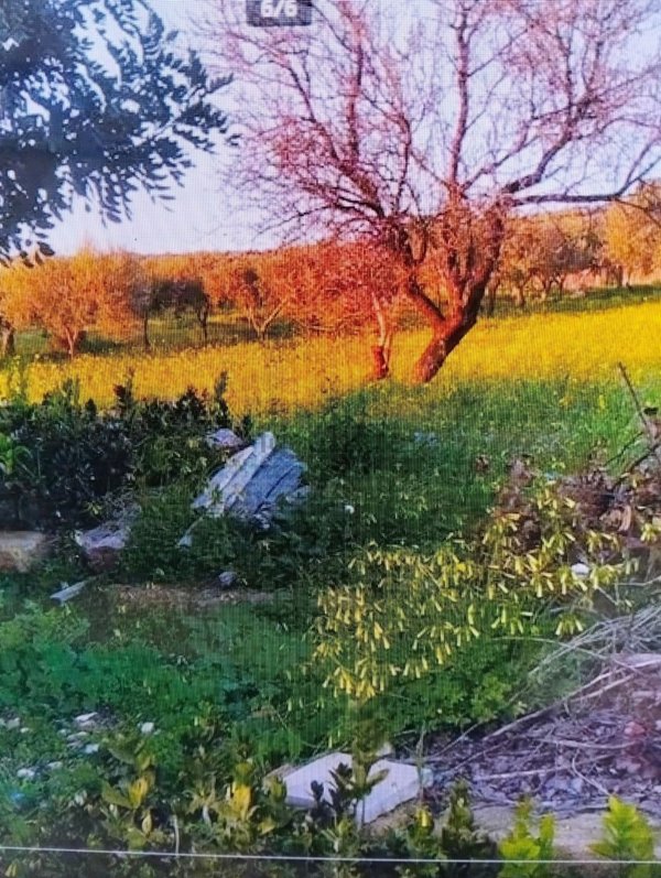 casa indipendente in vendita a Valderice in zona Chiesanuova