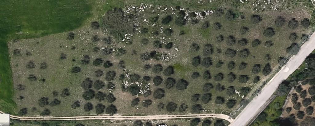 casa indipendente in vendita a Valderice