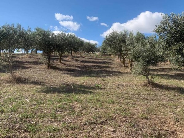 casa indipendente in vendita a Valderice in zona Crocevie