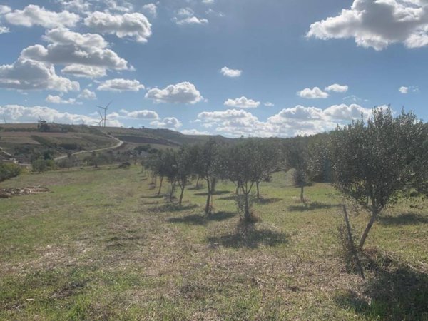 casa indipendente in vendita a Valderice in zona Crocevie