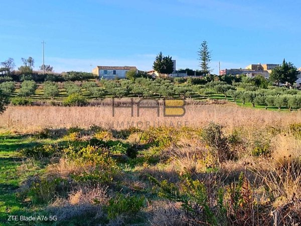 terreno agricolo in vendita a Valderice in zona Crocci