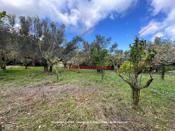 casa indipendente in vendita a Valderice
