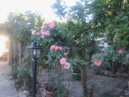 casa indipendente in vendita a Valderice in zona Crocevie