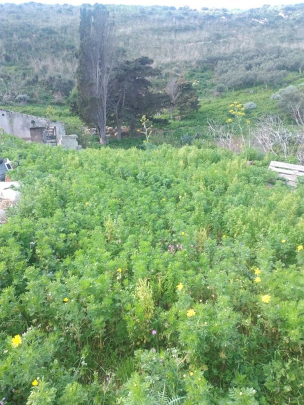 casa indipendente in vendita a Valderice in zona Sant'Andrea