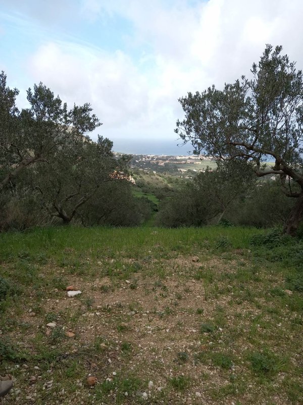 terreno agricolo in vendita a Valderice