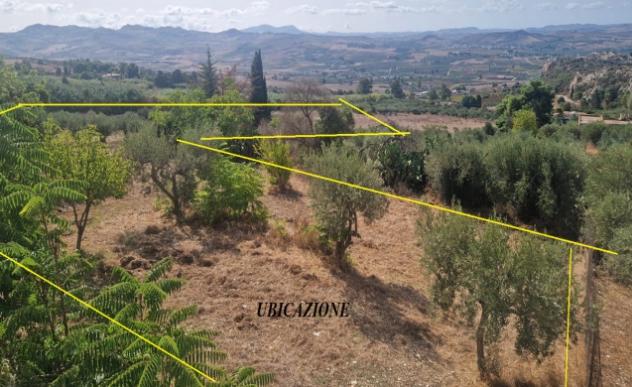 terreno edificabile in vendita a Valderice