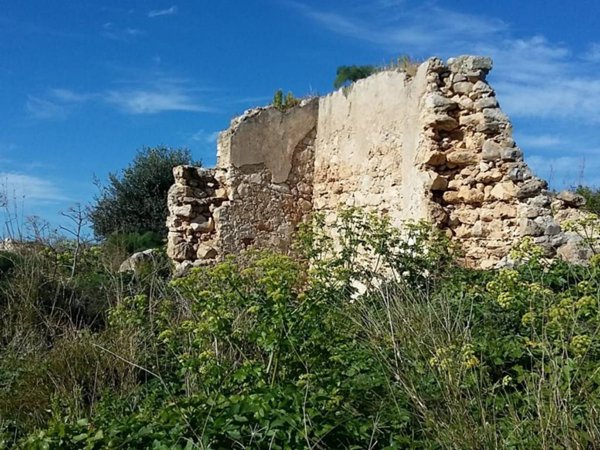 terreno agricolo in vendita a Valderice