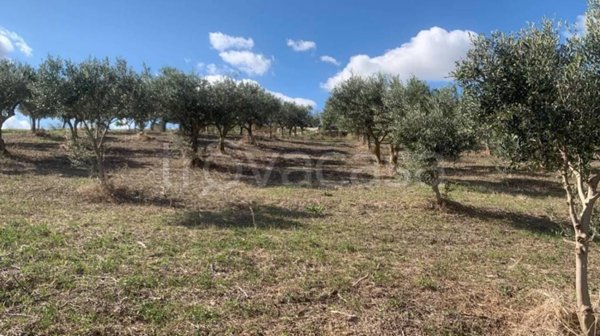 casa indipendente in vendita a Valderice in zona Crocevie