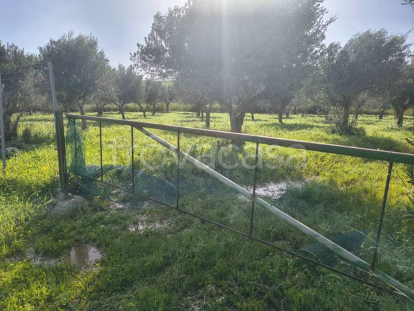 terreno agricolo in vendita a Valderice in zona Crocci