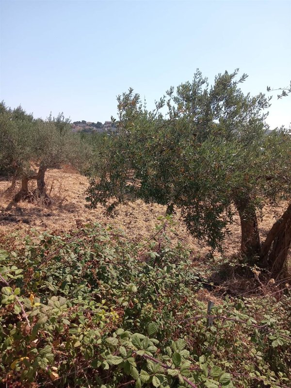 terreno in vendita a Valderice