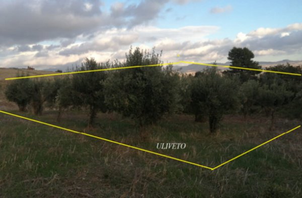terreno edificabile in vendita a Valderice