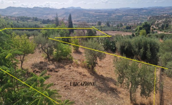 terreno agricolo in vendita a Valderice