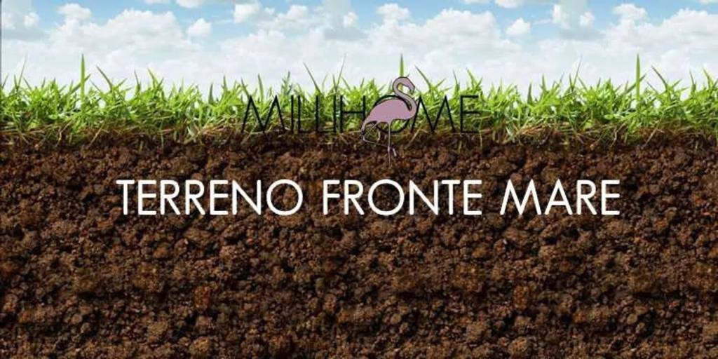 terreno agricolo in vendita a Petrosino