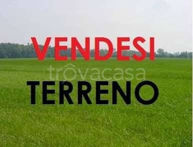 terreno agricolo in vendita a Petrosino