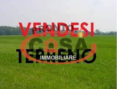 terreno agricolo in vendita a Petrosino