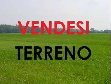 terreno agricolo in vendita a Petrosino