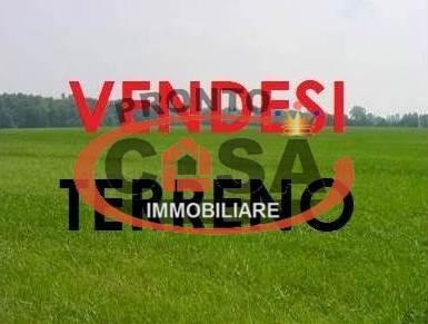 terreno agricolo in vendita a Petrosino