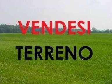 terreno agricolo in vendita a Petrosino