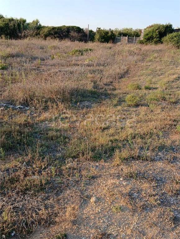 terreno agricolo in vendita a Petrosino