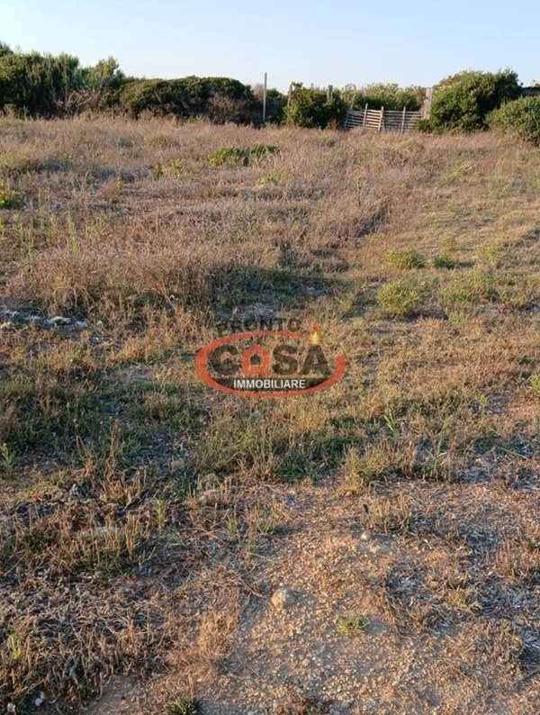 terreno agricolo in vendita a Petrosino