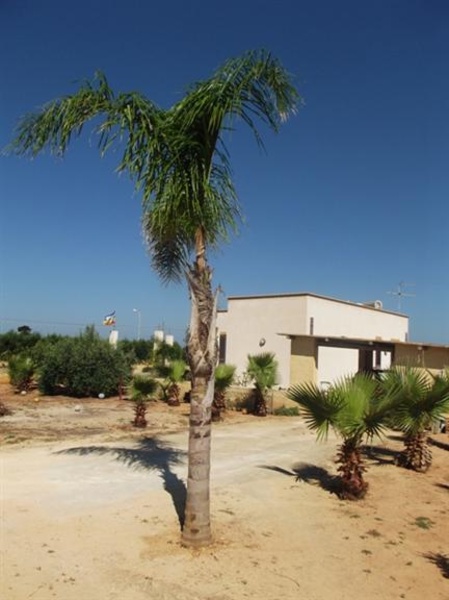 casa indipendente in vendita a Petrosino