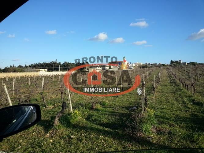 terreno agricolo in vendita a Petrosino