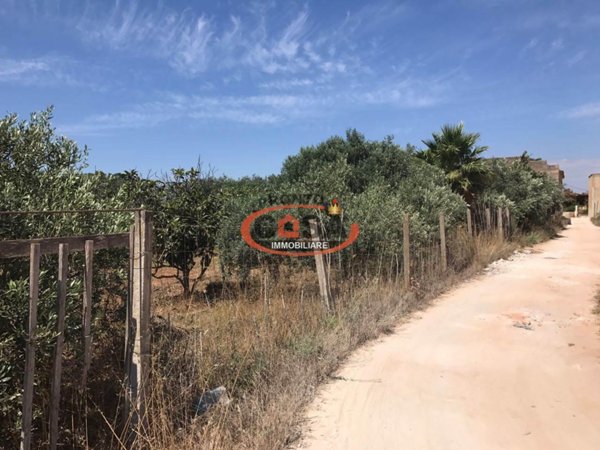 terreno agricolo in vendita a Petrosino