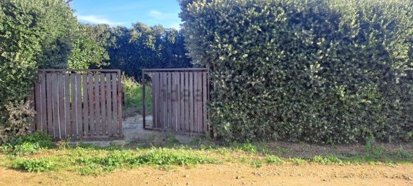 terreno agricolo in vendita a Petrosino