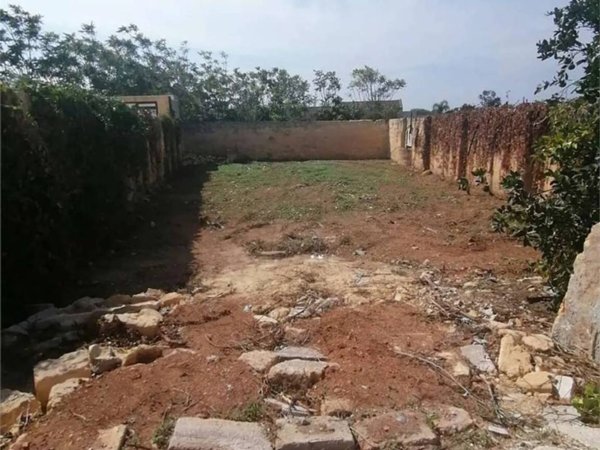 terreno agricolo in vendita a Petrosino