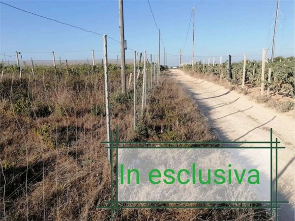 terreno agricolo in vendita a Petrosino