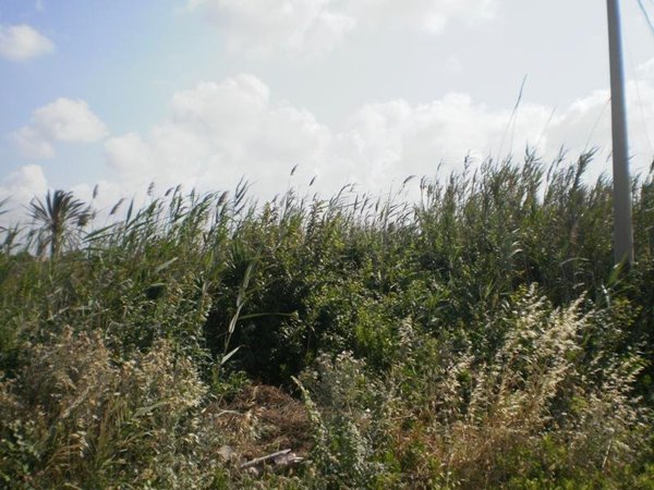 terreno in vendita a Petrosino