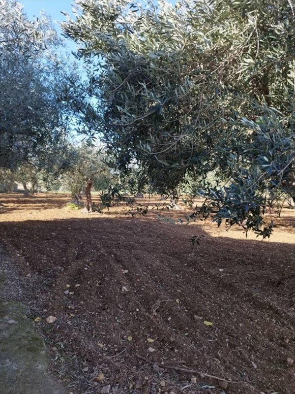 casa indipendente in vendita a Misiliscemi in zona Marausa