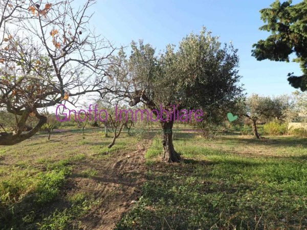 casa indipendente in vendita a Misiliscemi in zona Marausa