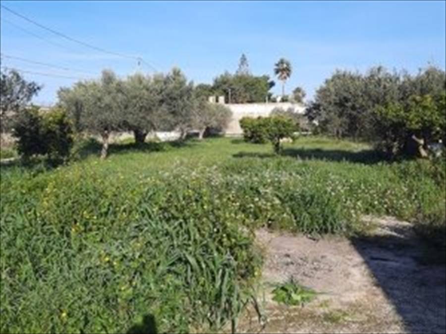 casa indipendente in vendita a Misiliscemi in zona Fontanasalsa