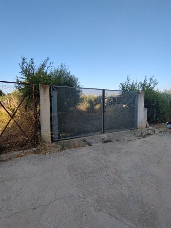 terreno agricolo in vendita a Misiliscemi