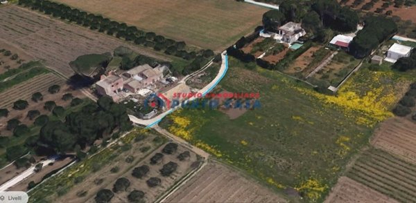 casa indipendente in vendita a Misiliscemi in zona Locogrande