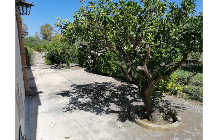 casa indipendente in vendita a Misiliscemi in zona Locogrande